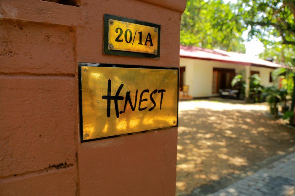 Holiday Nest Bed & Breakfast Вадува Екстериор снимка