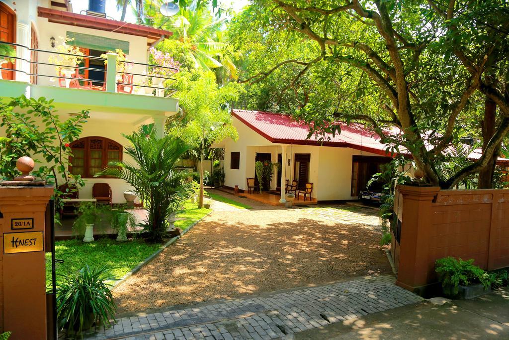 Holiday Nest Bed & Breakfast Вадува Екстериор снимка